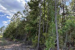 8862 Ware Dr.  photo 4