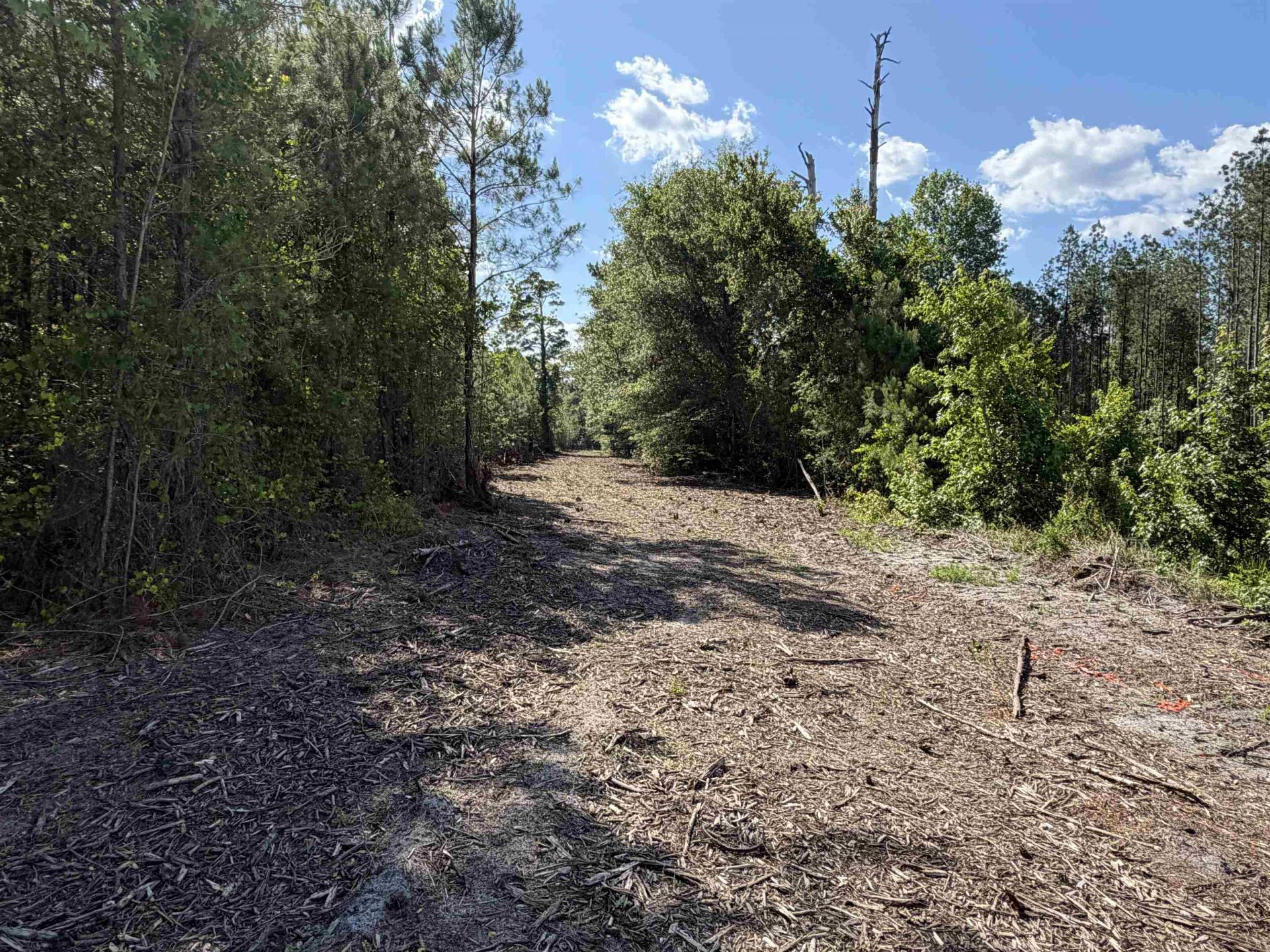8862 Ware Dr.  Photo 6