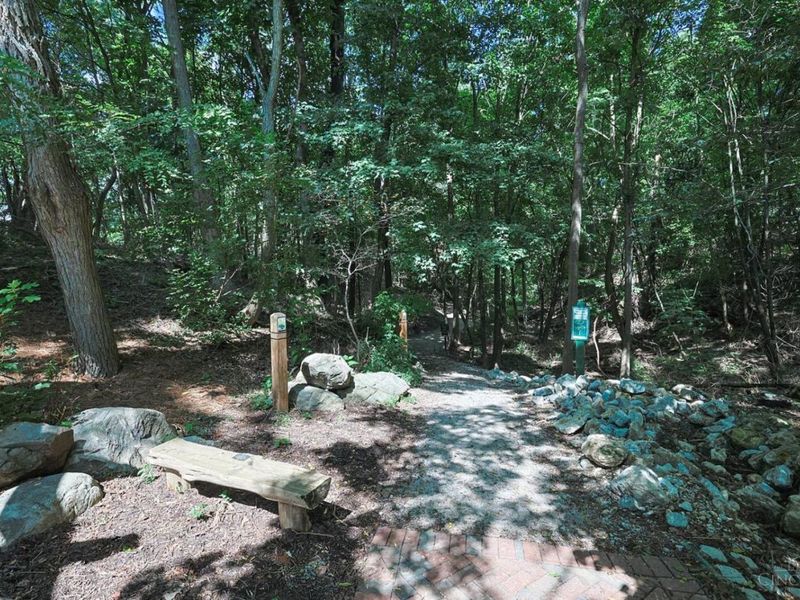 10820 Deerfield Road, Cincinnati, OH 45242 Photo 6
