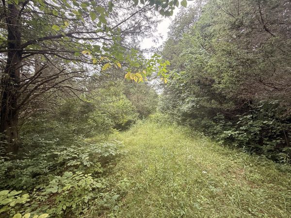 815 Waterworks Road, Williamstown, KY 41097