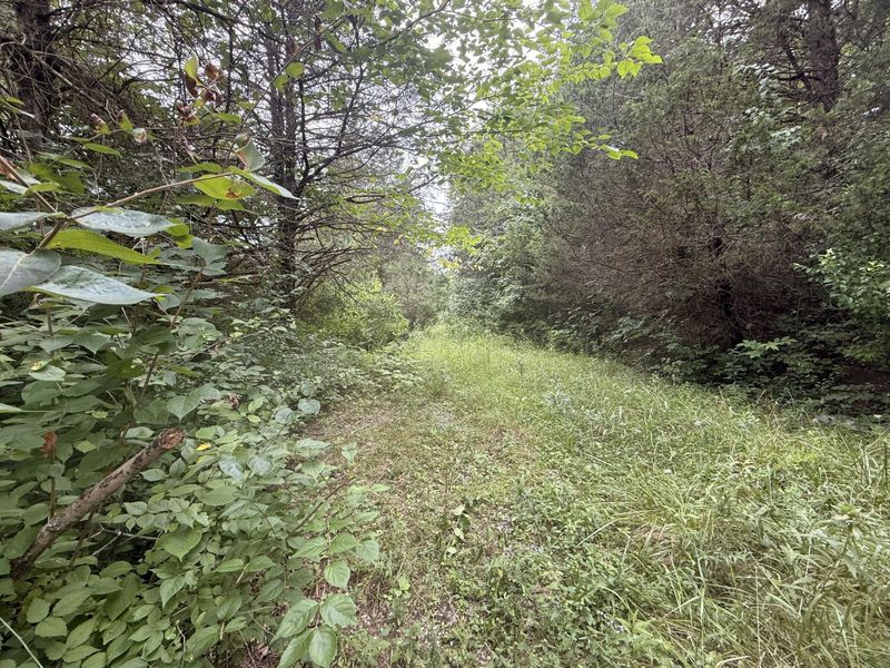 815 Waterworks Road, Williamstown, KY 41097 Photo 2