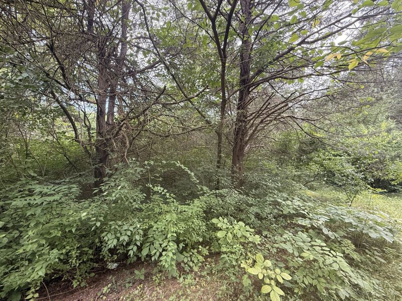 815 Waterworks Road, Williamstown, KY 41097 Photo 3