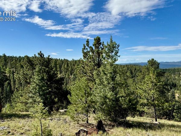 196 Beaver Creek Circle, Florissant, CO 80816