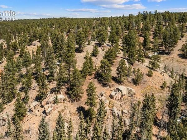 196 Beaver Creek Circle, Florissant, CO 80816