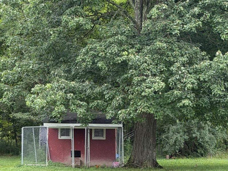 1880 St Rt 133, Bethel, OH 45106 Photo 13