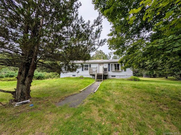 77 Murphy Road , Swan Lake, NY 12783