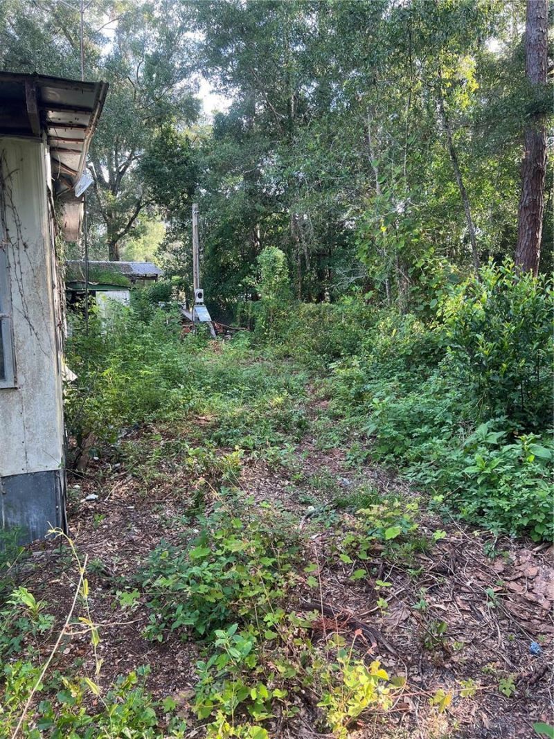 3250 197th Court , Morriston, FL 32668 Photo