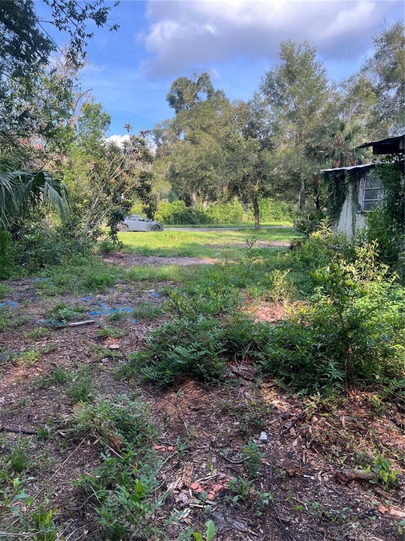 3250 197th Court , Morriston, FL 32668 Photo