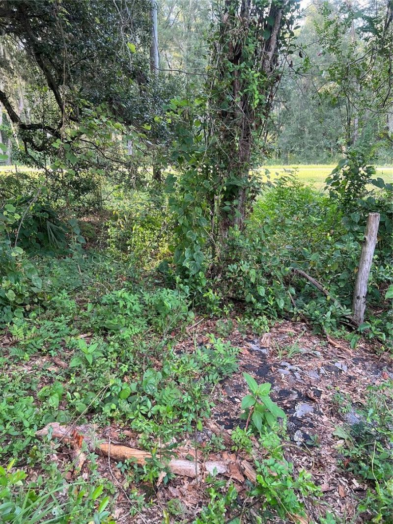 3250 197th Court , Morriston, FL 32668 Photo