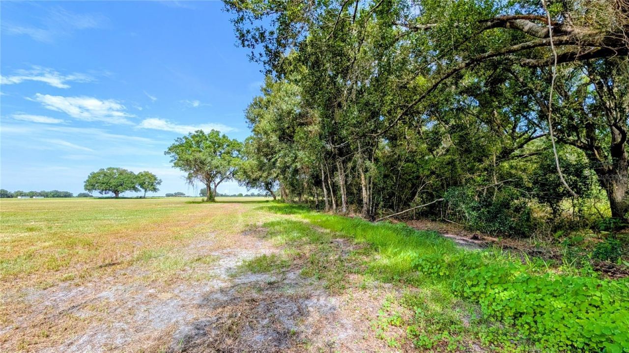 610 N Hollandtown Road, Wauchula, FL 33873 Photo