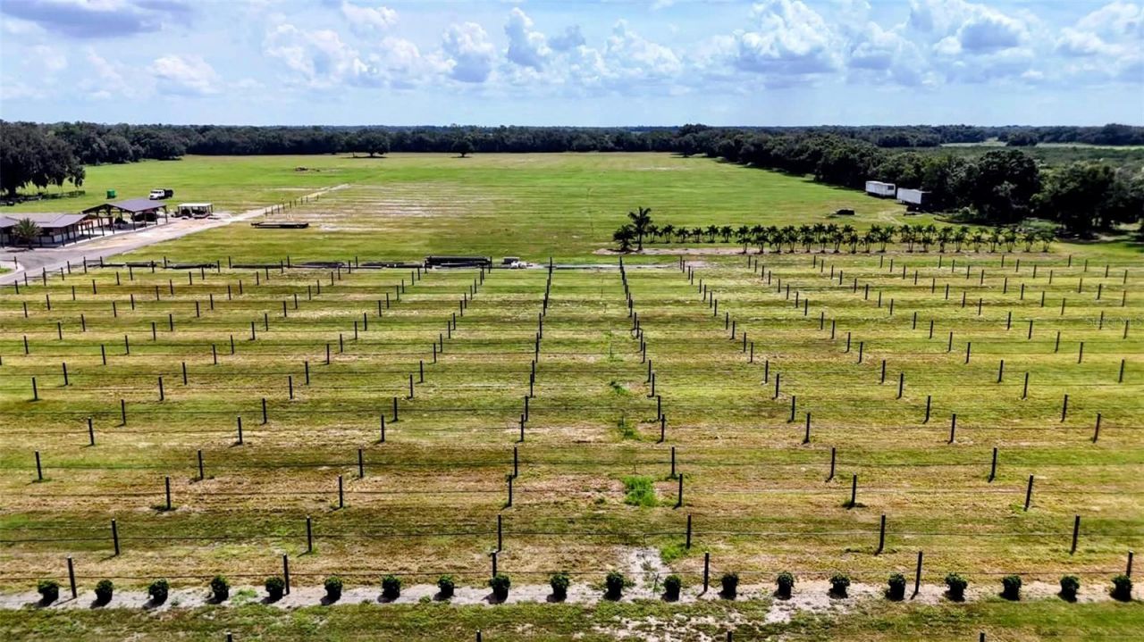 610 N Hollandtown Road, Wauchula, FL 33873 Photo