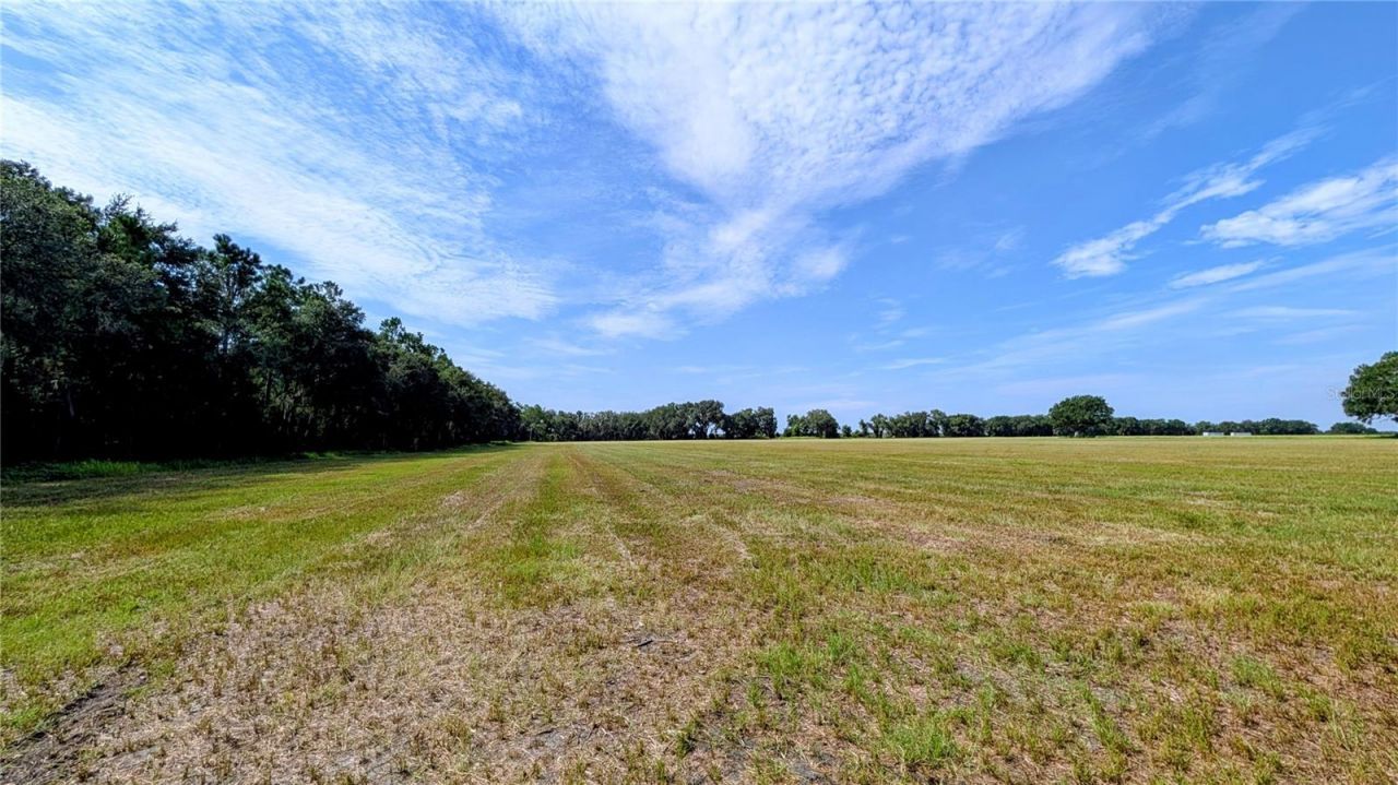 610 N Hollandtown Road, Wauchula, FL 33873 Photo