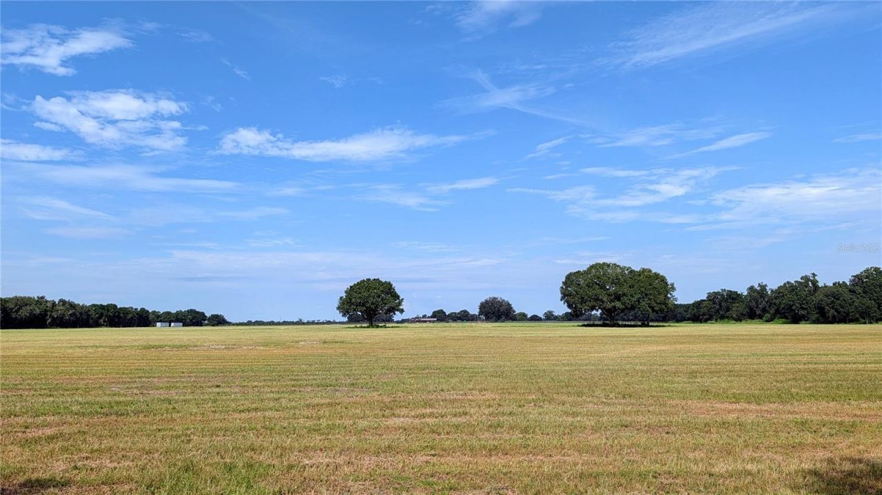 610 N Hollandtown Road, Wauchula, FL 33873 Photo