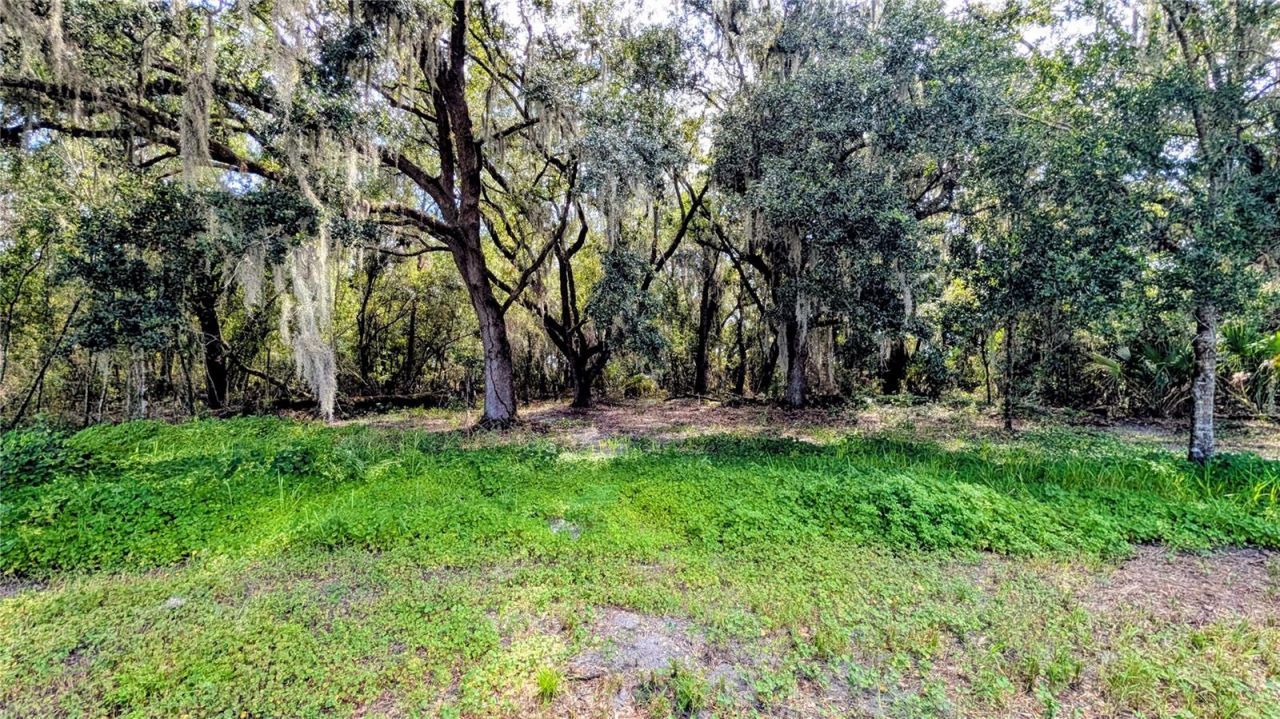 610 N Hollandtown Road, Wauchula, FL 33873 Photo