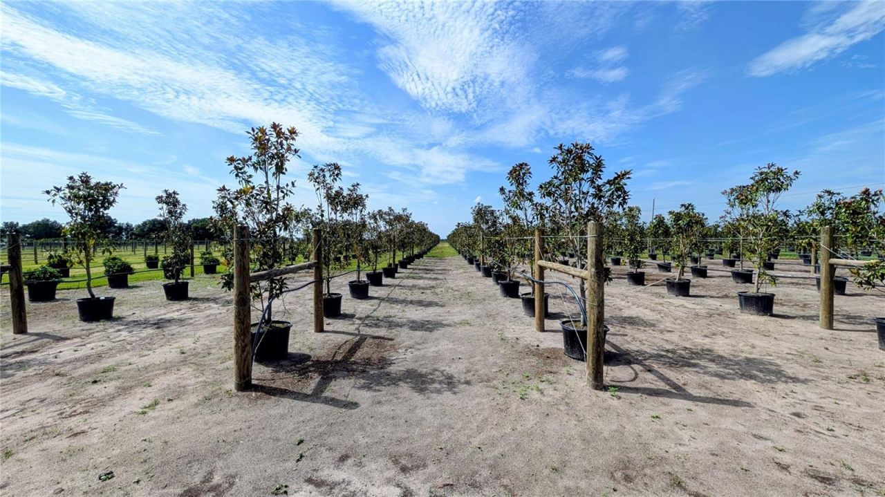 610 N Hollandtown Road, Wauchula, FL 33873 Photo