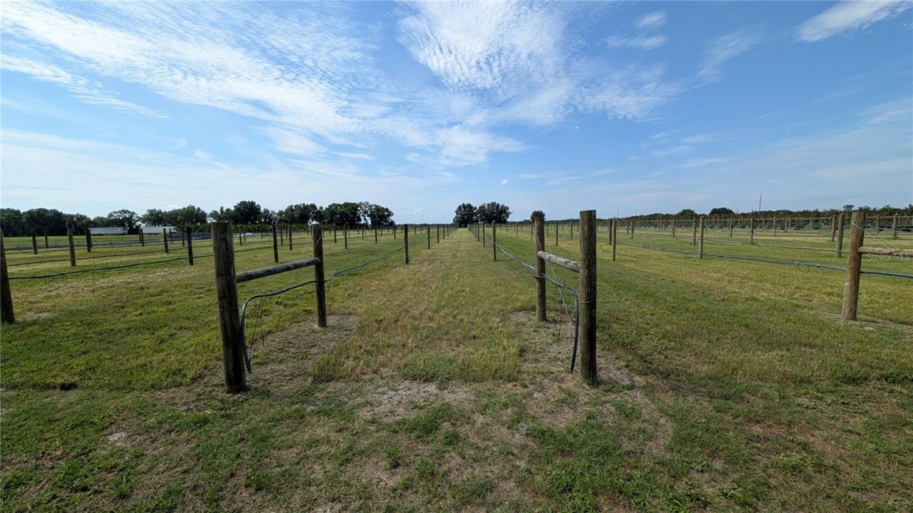 610 N Hollandtown Road, Wauchula, FL 33873 Photo