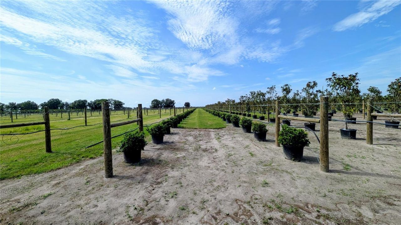 610 N Hollandtown Road, Wauchula, FL 33873 Photo