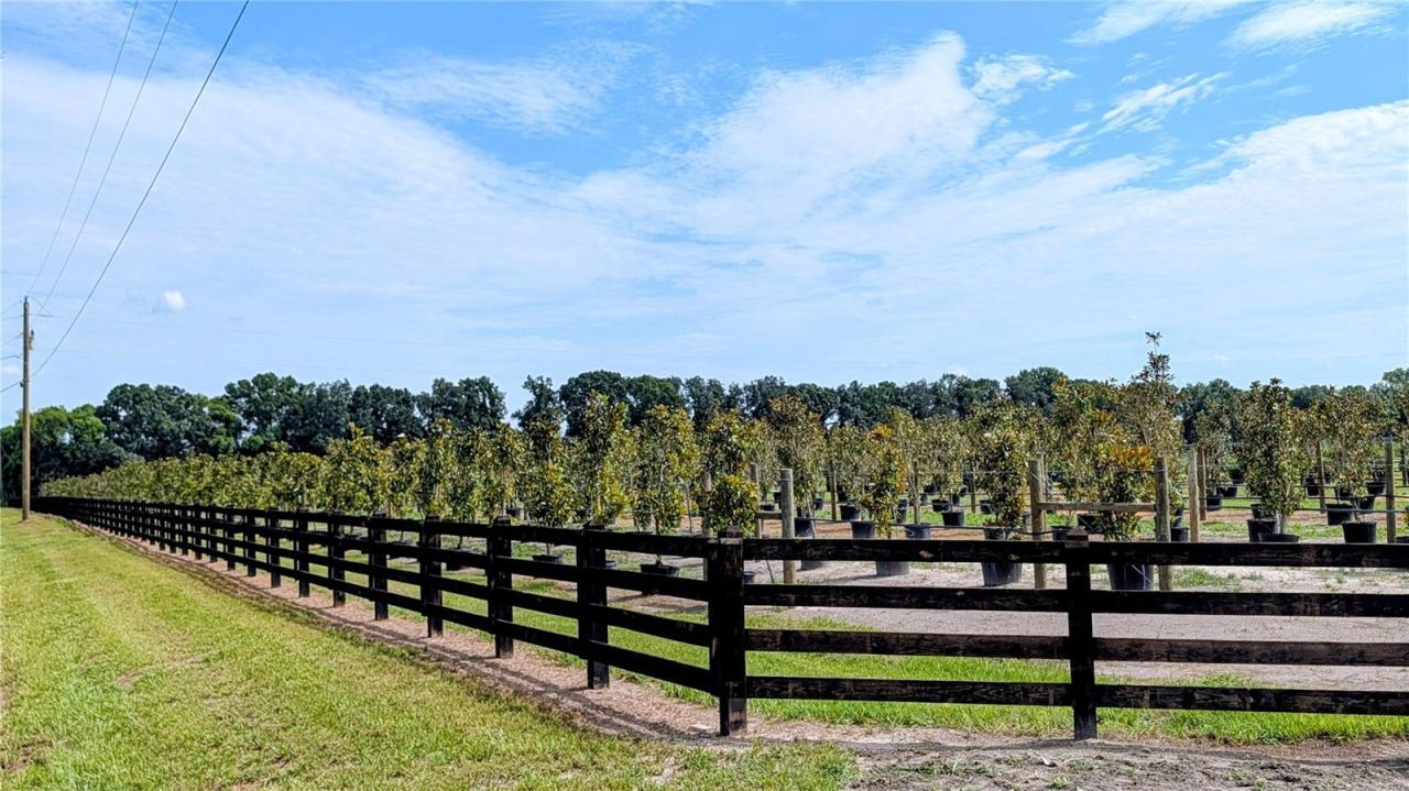 610 N Hollandtown Road, Wauchula, FL 33873 Photo