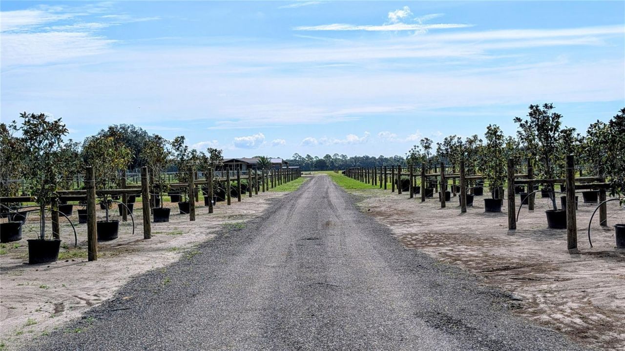 610 N Hollandtown Road, Wauchula, FL 33873 Photo