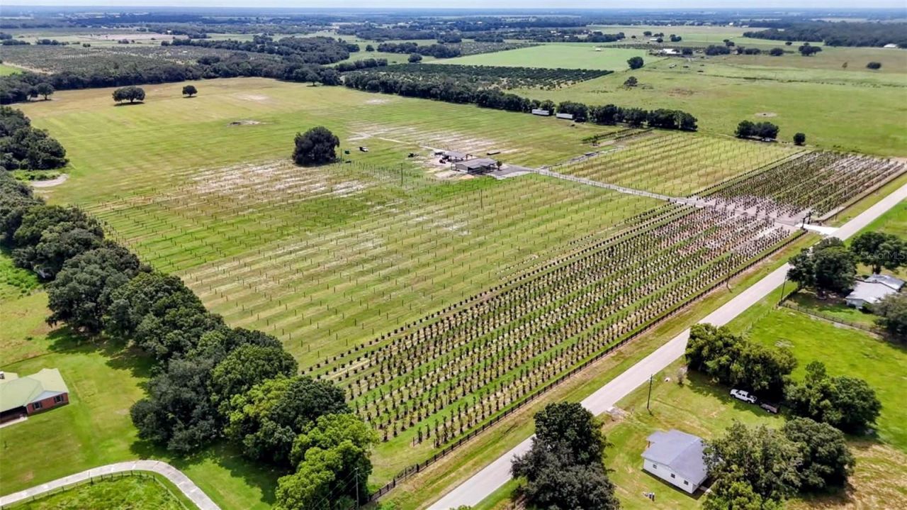 610 N Hollandtown Road, Wauchula, FL 33873 Photo