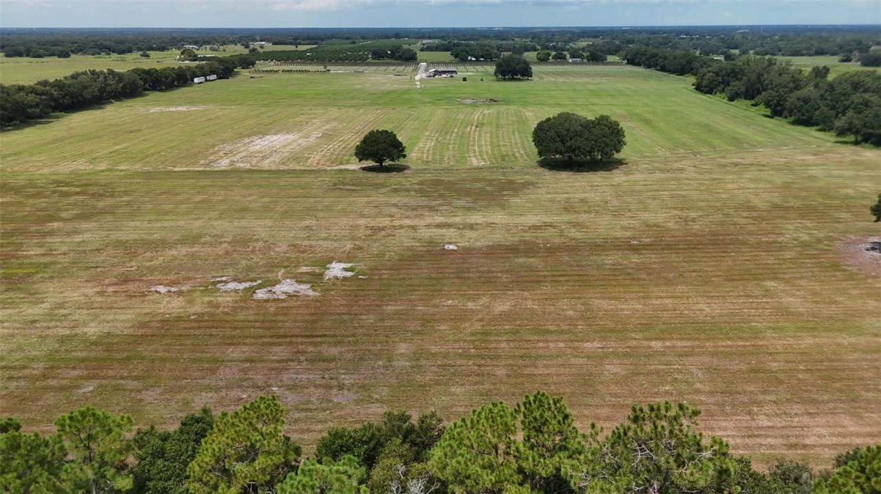 610 N Hollandtown Road, Wauchula, FL 33873 Photo