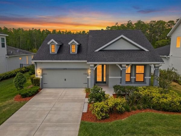 15170 AVILES PARKWAY , ODESSA, FL 33556