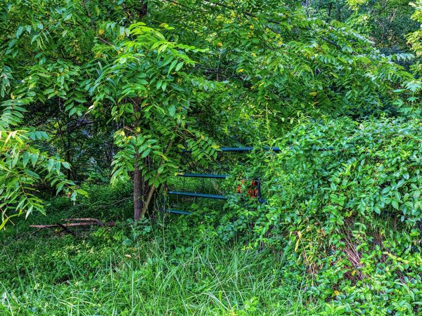 632 North Cherokee Street, Jonesborough, TN 37659