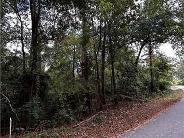 FALAYA Street , Covington, LA 70435