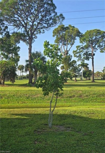 881 Homestead Dr , North Fort Myers, FL 33917 Photo