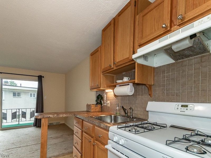 1372 Golden Gate Boulevard , Unit B204, Mayfield Heights, OH 44124 Photo 10