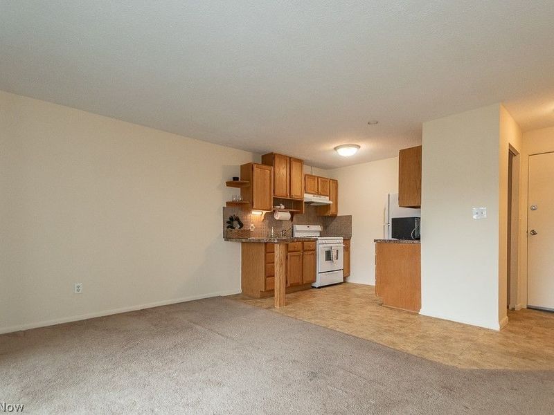 1372 Golden Gate Boulevard , Unit B204, Mayfield Heights, OH 44124 Photo 3
