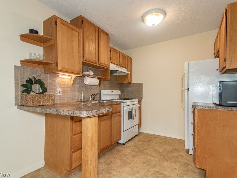 1372 Golden Gate Boulevard , Unit B204, Mayfield Heights, OH 44124 Photo 7