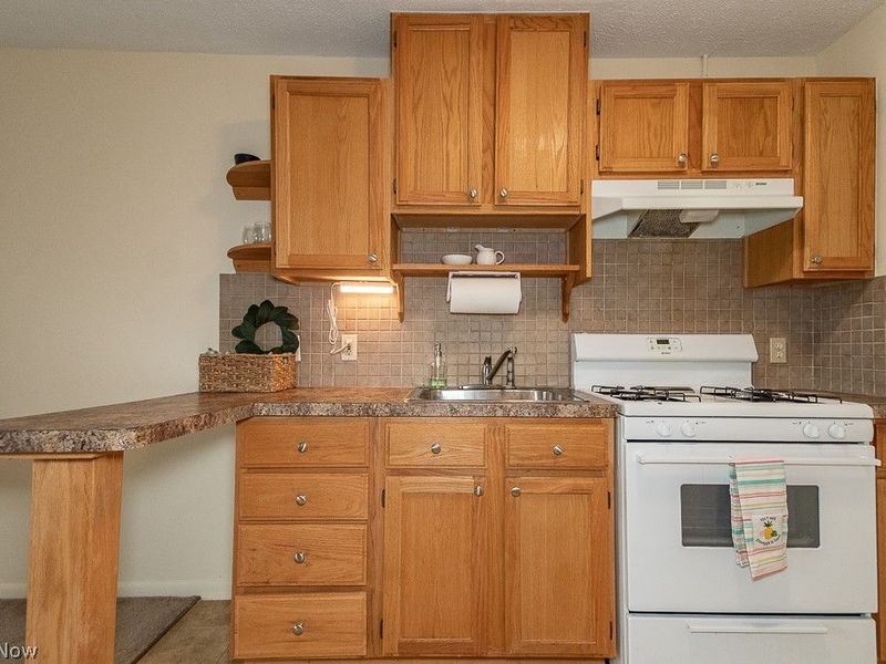 1372 Golden Gate Boulevard , Unit B204, Mayfield Heights, OH 44124 Photo 8