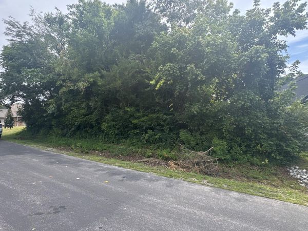 143 Daleyuhski Way, Loudon, TN 37774