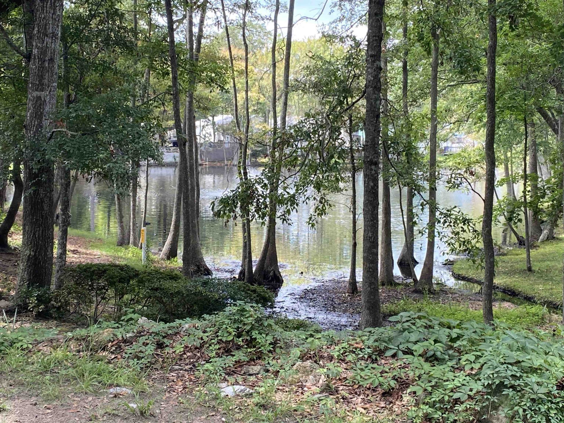 5400 Little River Neck Rd. Photo 26