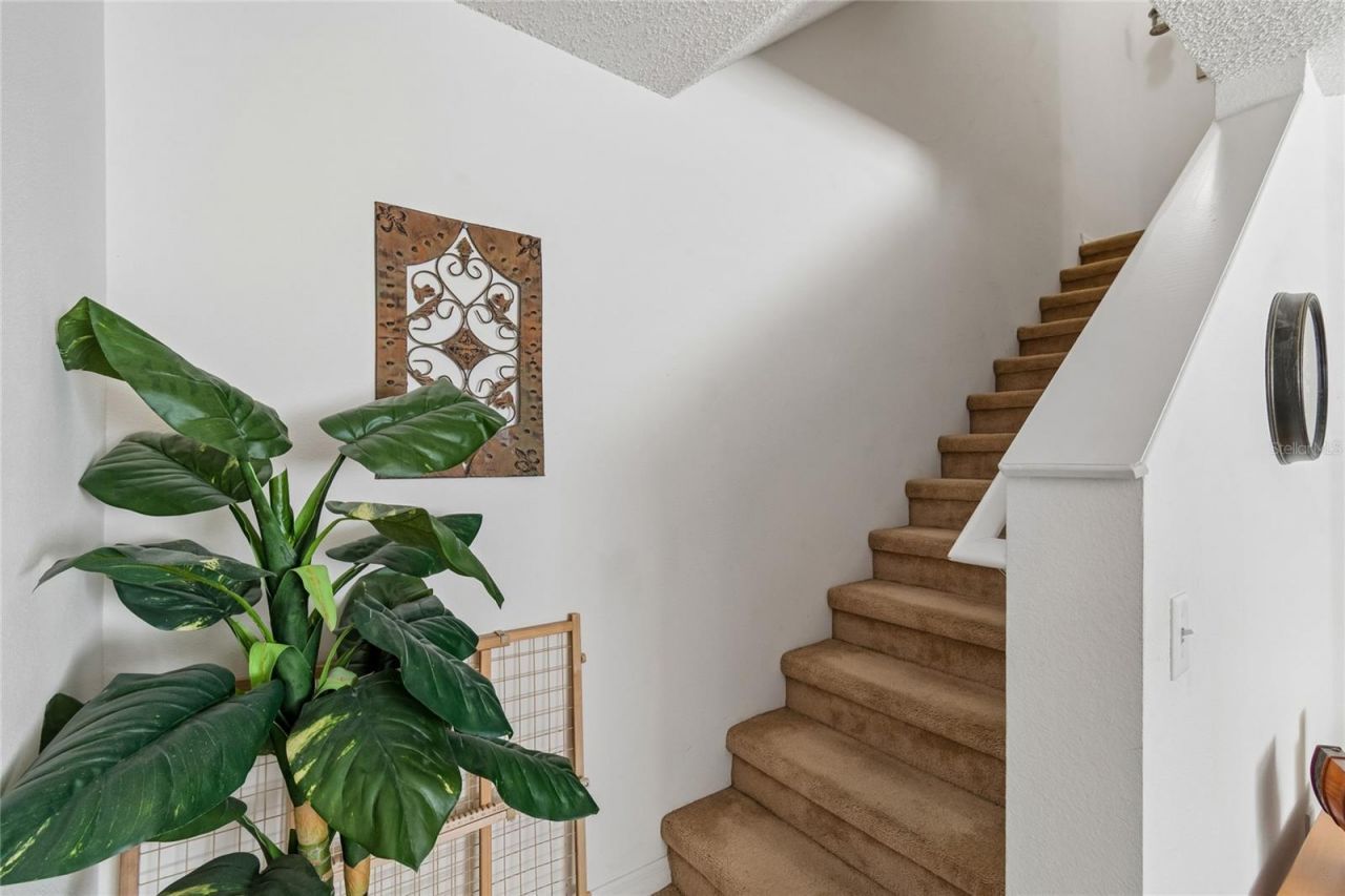 4009 Dolphin Drive, Tampa, FL 33617 Photo
