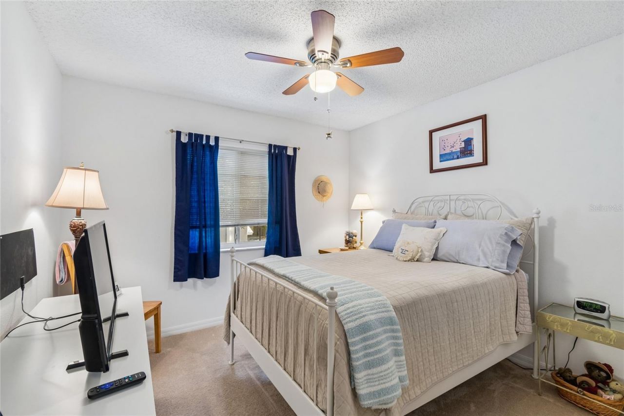 4009 Dolphin Drive, Tampa, FL 33617 Photo