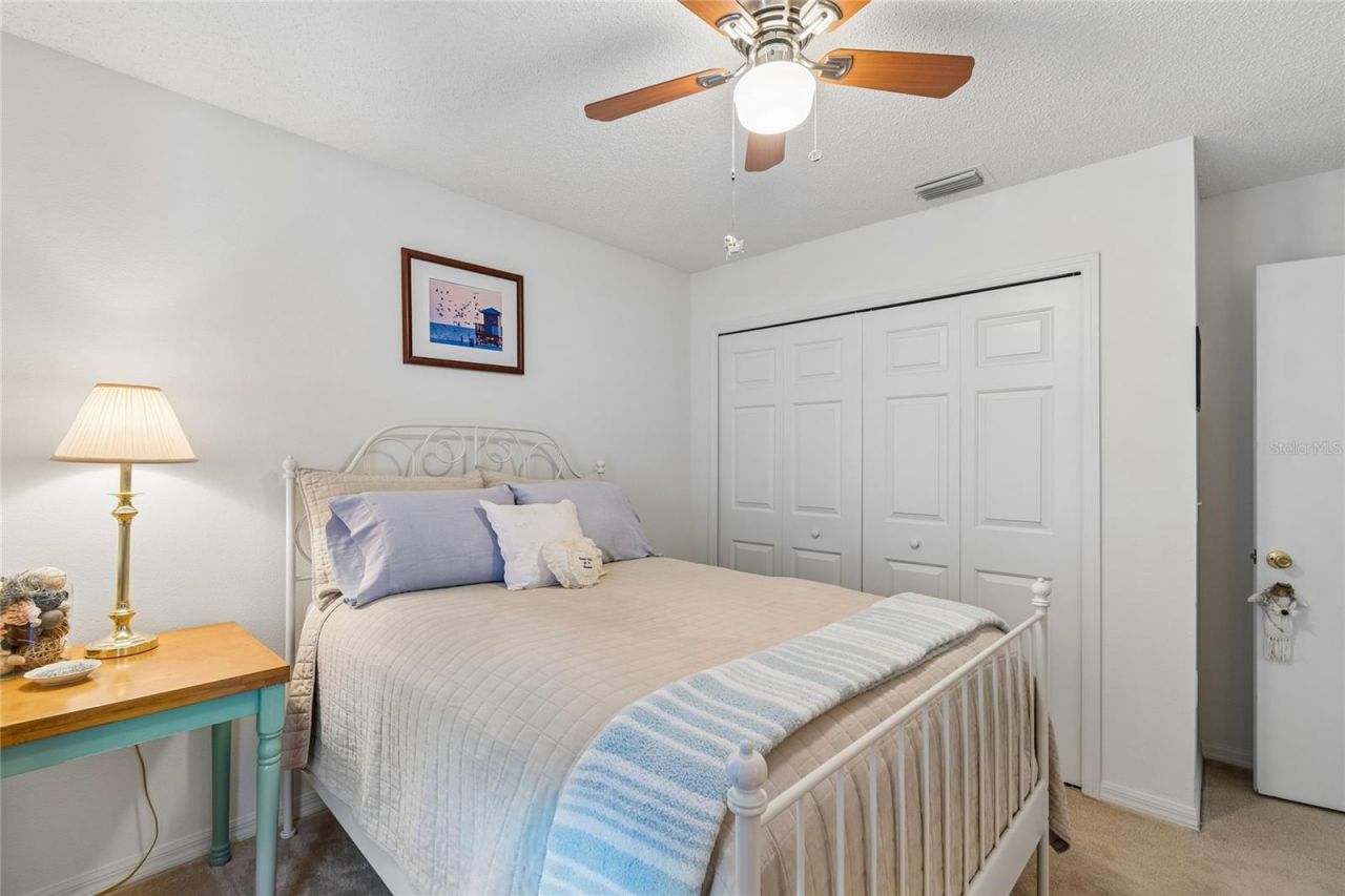 4009 Dolphin Drive, Tampa, FL 33617 Photo