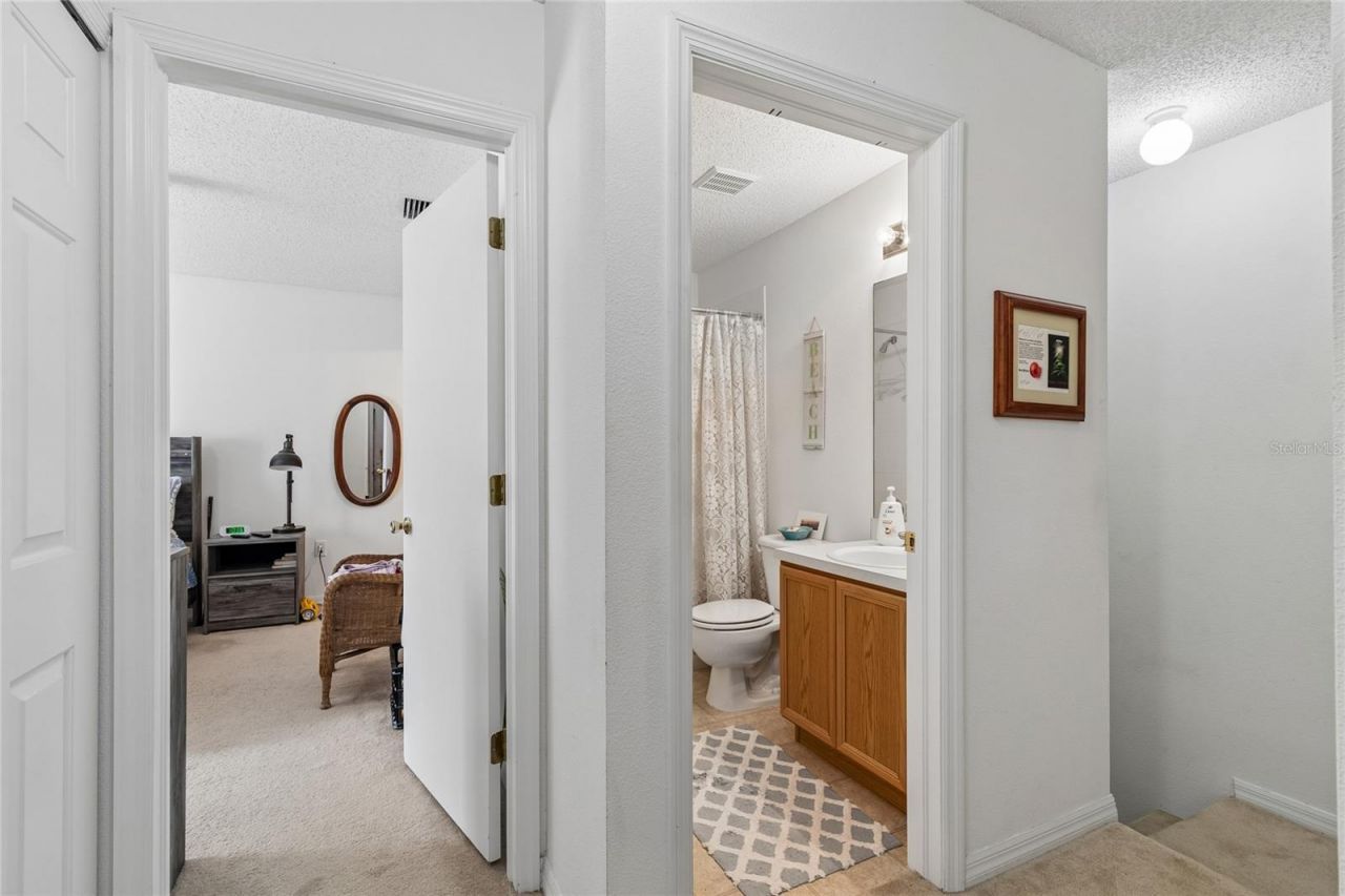 4009 Dolphin Drive, Tampa, FL 33617 Photo