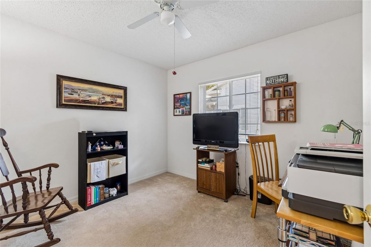 4009 Dolphin Drive, Tampa, FL 33617 Photo