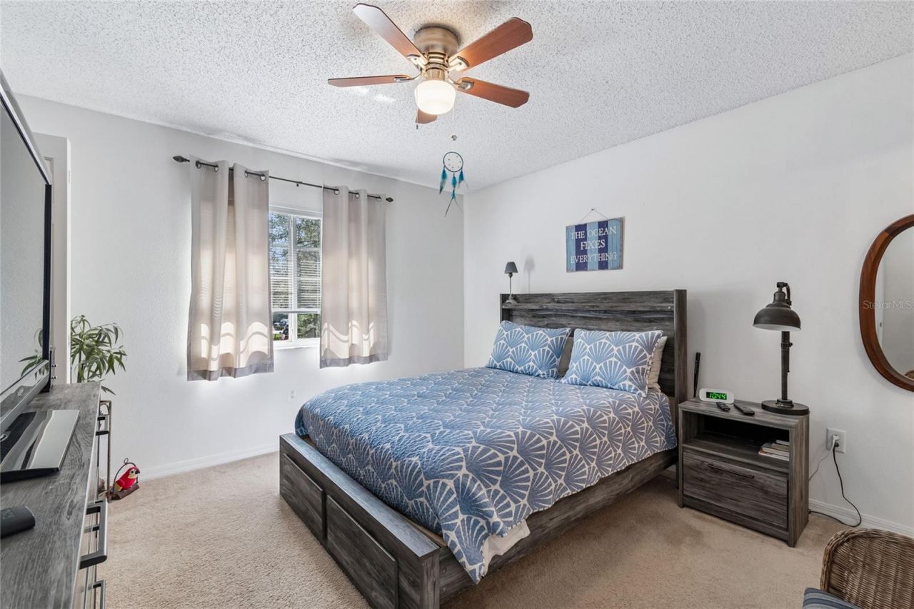 4009 Dolphin Drive, Tampa, FL 33617 Photo