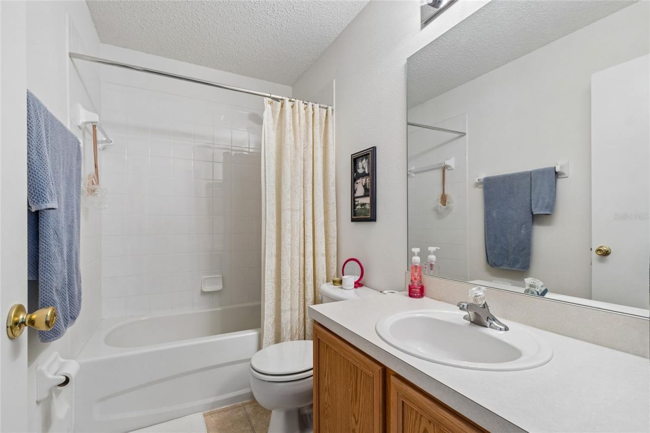 4009 Dolphin Drive, Tampa, FL 33617 Photo
