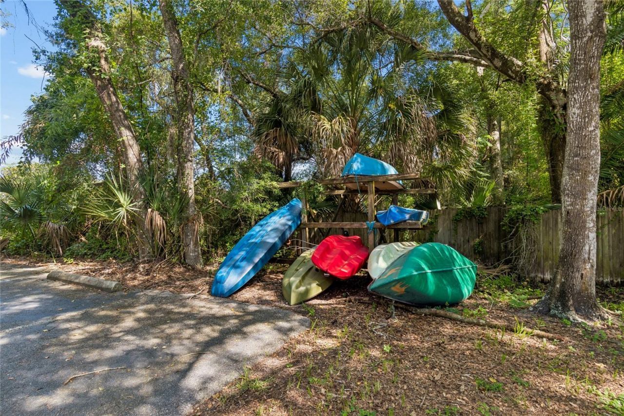 4009 Dolphin Drive, Tampa, FL 33617 Photo