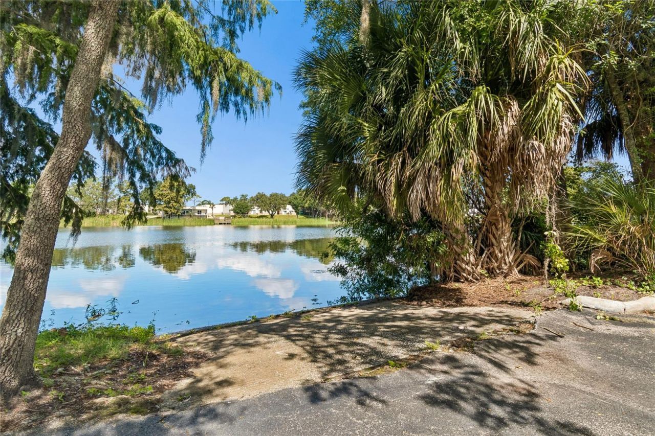 4009 Dolphin Drive, Tampa, FL 33617 Photo