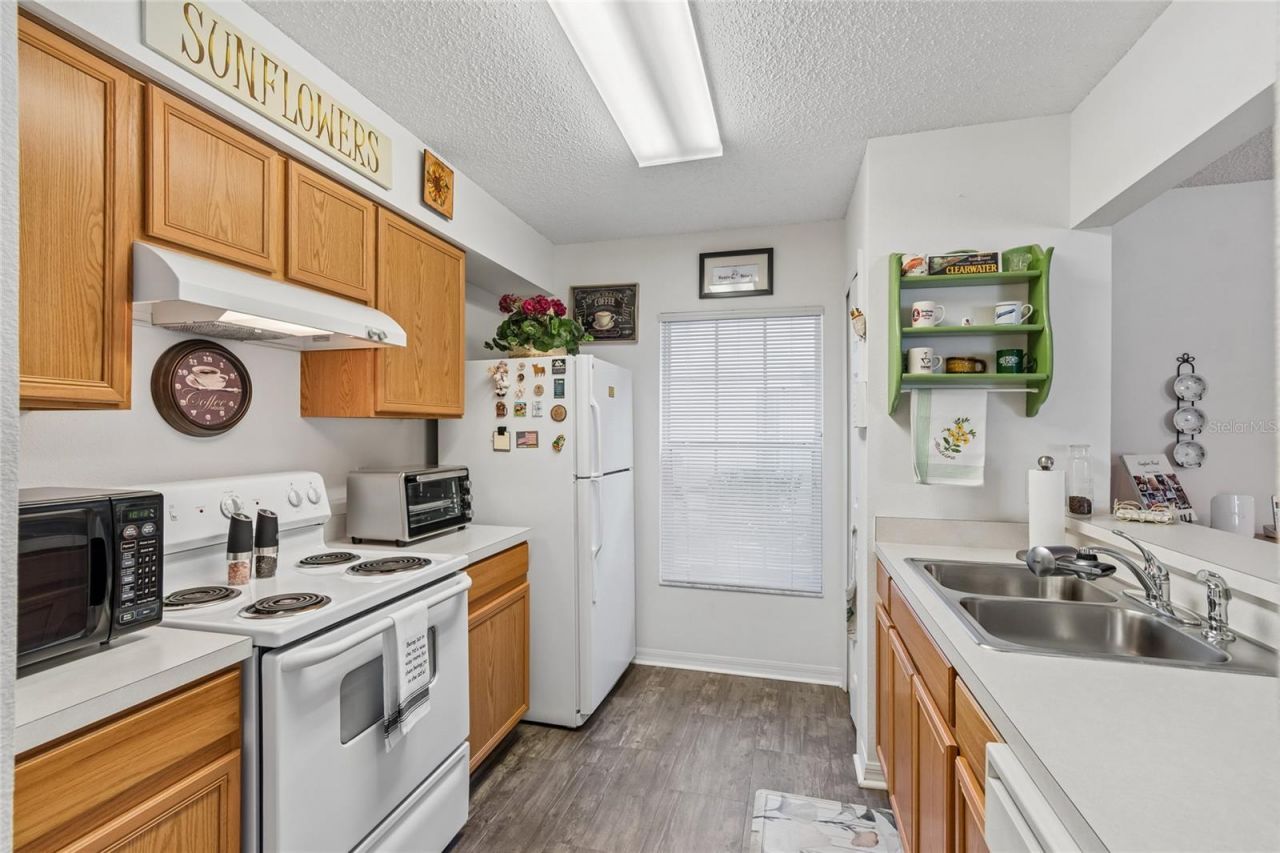 4009 Dolphin Drive, Tampa, FL 33617 Photo