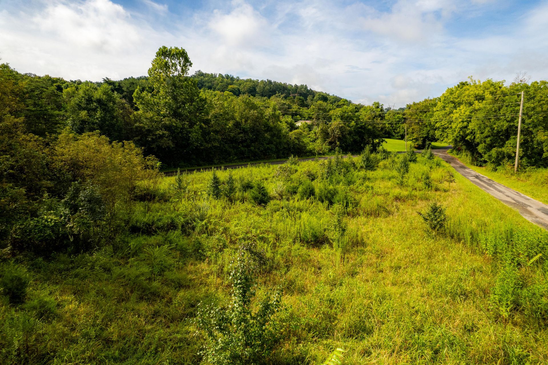 000 Tolliver Road, New Market, TN 37820 Main Photo