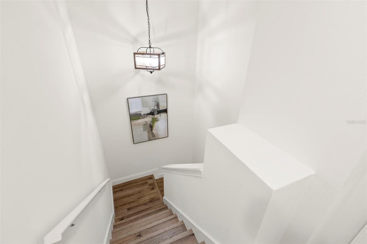 14743 Canopy Drive , Tampa, FL 33626 Photo