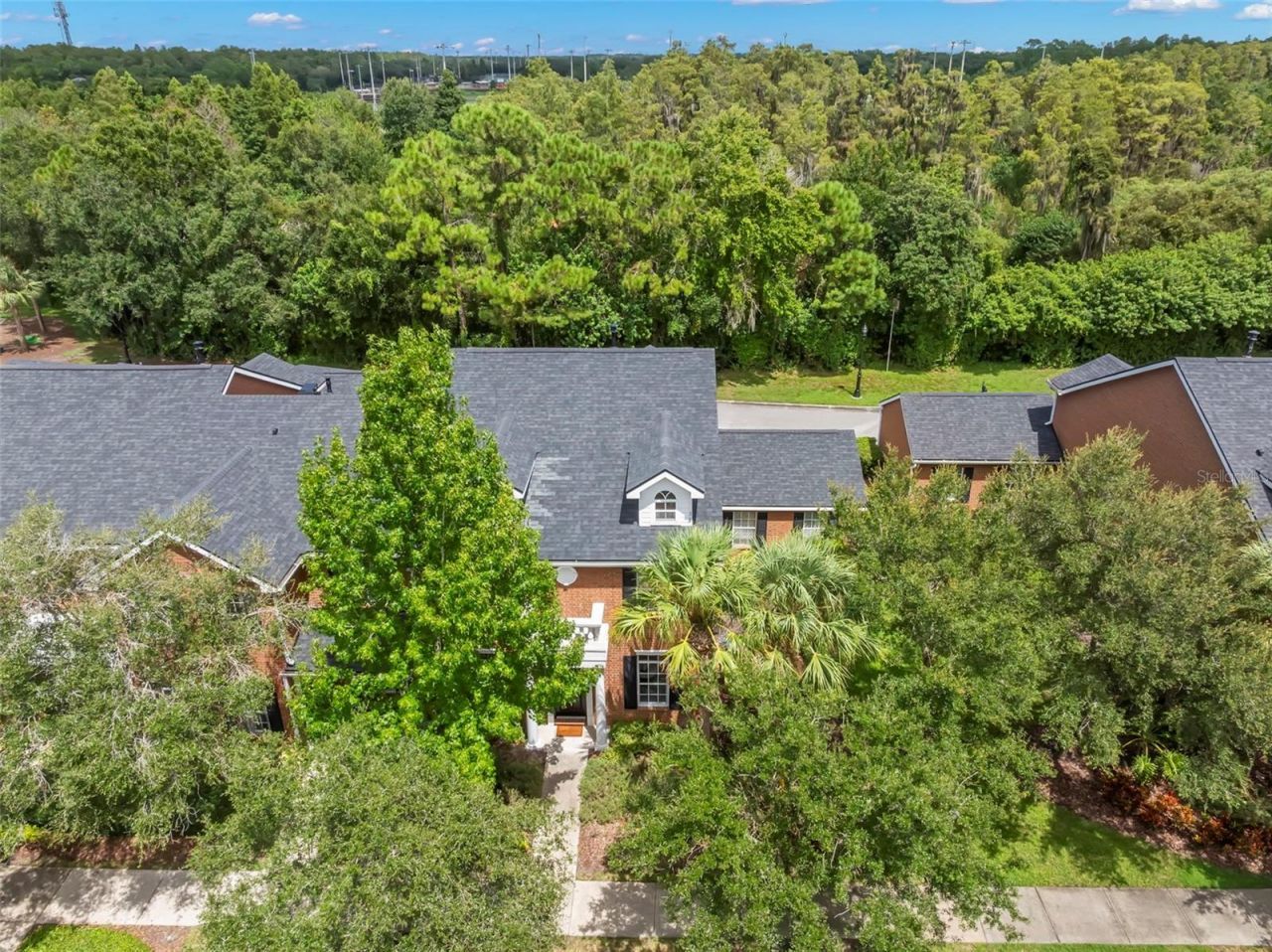 14743 Canopy Drive , Tampa, FL 33626 Photo