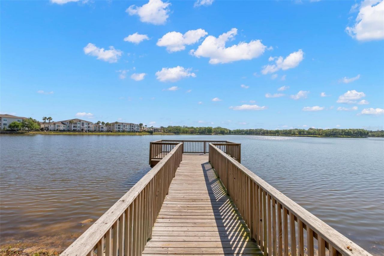 14743 Canopy Drive , Tampa, FL 33626 Photo