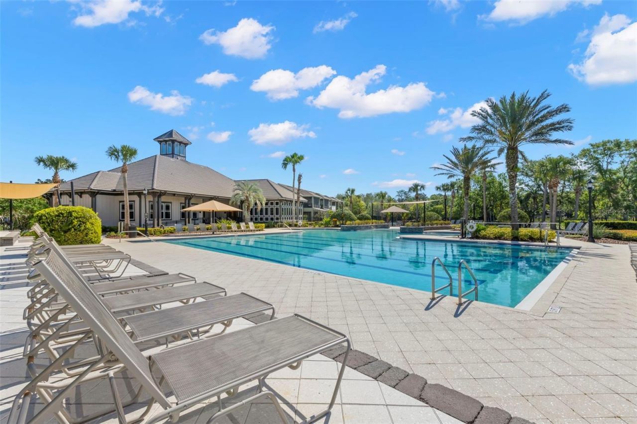 14743 Canopy Drive , Tampa, FL 33626 Photo